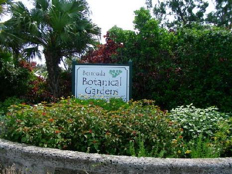 Bermuda Botanical Gardens Kfn Travel Guide