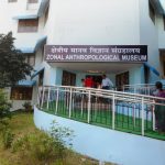 Zonal Anthropological Museum