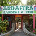 Ardastra Gardens, Zoo and Conservation Centre