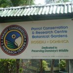 Dominica Botanical Gardens